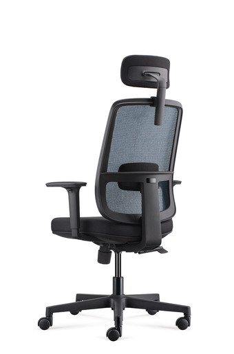 Ergovision Ergo Basic 06, uredska stolica, crno/plava