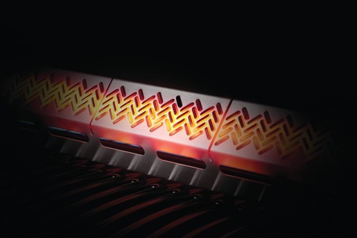 NAPOLEON ugradbeni plinski roštilj Legend BILD485