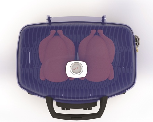 NAPOLEON prijenosni plinski roštilj TRAVELQ™ TQ285