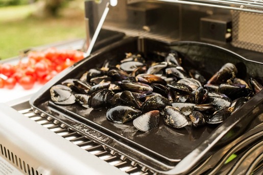 NAPOLEON ploča za roštilj od lijevanog željeza, porcelanizirana, za modele 285 (56090)