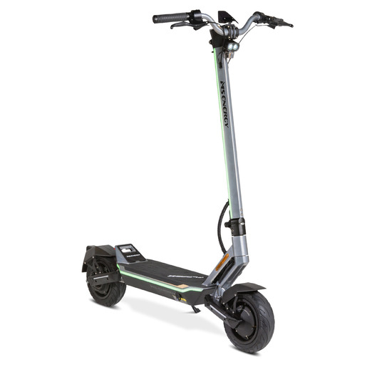 MS ENERGY E-ROMOBIL FLAREX