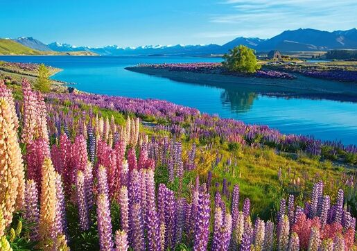 Puzzle 500 kom - Jezero Tekapo, Novi Zeland