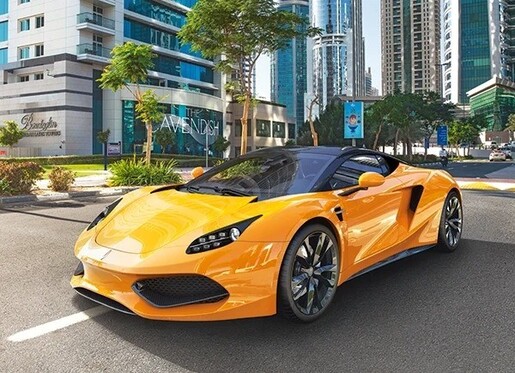 Puzzle 70 kom - Arrinera Hussarya