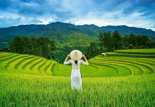 Puzzle 1000 kom - Rižina polja u Vijetnamu