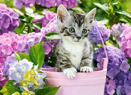 Puzzle 200 kom - Mačić u košari