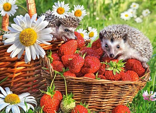 Puzzle 200 kom - Desert od jagoda