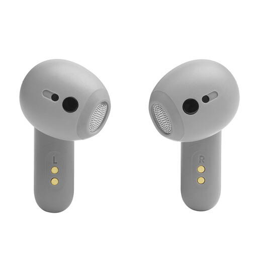 JBL Live Flex, In-Ear, TWS slušalice, srebrne