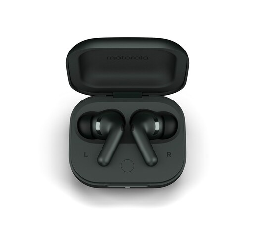 Motorola Buds+, In-Ear slušalice, Forest Grey