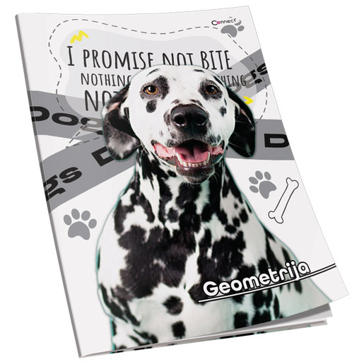 Bilježnica Premium Connect Girl, B5 geometrija, 16 listova, meki uvez