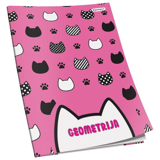 Bilježnica Premium Connect Girl, B5 geometrija, 16 listova, meki uvez