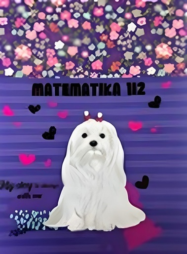 Pisanka matematika za 1 i 2 razred Premium Connect Girl, B5 kvadratići, 24 lista, meki uvez