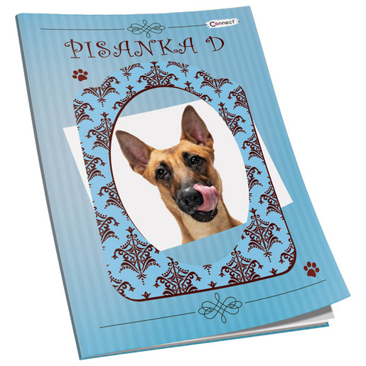Pisanka D Connect Girl+ Soft, B5 linije, 52 listova, meki uvez