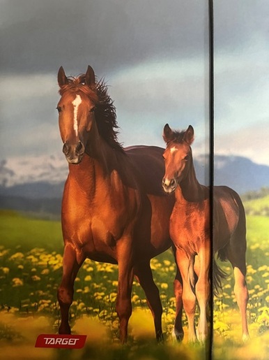 Mapa A4 s gumicom, Target Animal