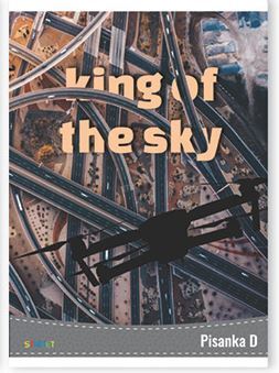 Pisanka D  STREET GOLD MIX, B5 linije, 48 listova, meki uvez