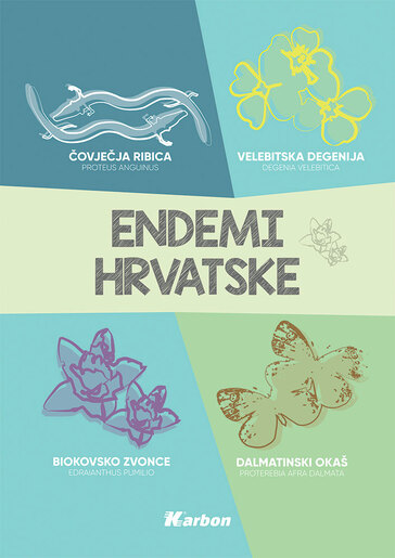 Bilježnica Karbon Biologija s memom, A4 linije, 96 listova, tvrdi uvez