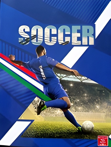 Bilježnica Pigna PREMIUM, A4 geometrija, 42 lista, meki uvez