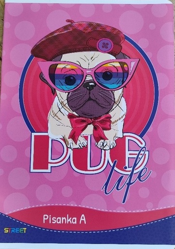 Pisanka A STREET MIX, B5 linije, 16 listova, meki uvez