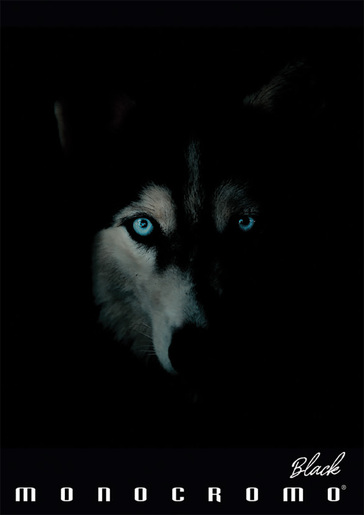 Bilježnica Pigna Monocromo Black, A4 linije, 42 lista, meki uvez