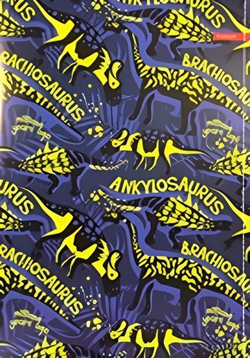 Bilježnica Ilijanum, A4 geometrija, 52 lista, meki uvez