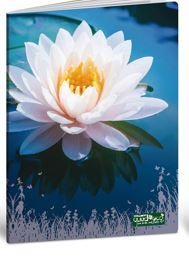 Bilježnica Quadeco, A4 kvadratići, 20 listova, meki uvez