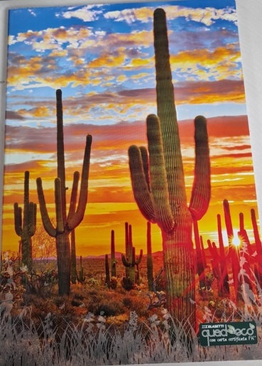 Bilježnica Quadeco, A4 Linije, 20 listova, meki uvez