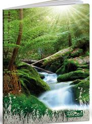 Bilježnica Quadeco, A4 Linije, 20 listova, meki uvez