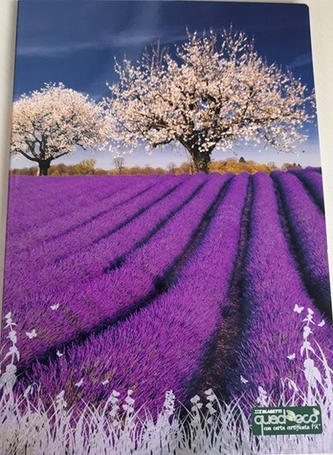 Bilježnica Quadeco, A4 Linije, 20 listova, meki uvez