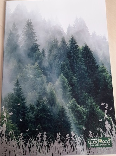 Bilježnica Quadeco, A4 Linije, 20 listova, meki uvez