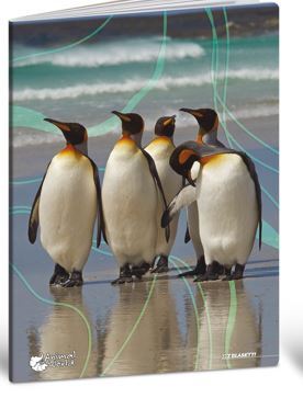 Bilježnica Blasetti Scuola Animal World, A4 kvadratići, 20 listova, meki uvez