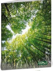 Bilježnica Quadeco, A4 kvadratići, 20 listova, meki uvez