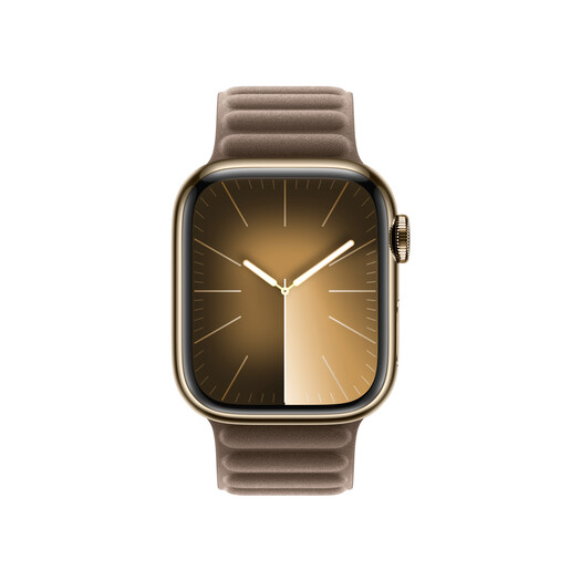 Apple zamjenski remen za Apple Watch 45mm - Taupe Magnetic Link - M/L