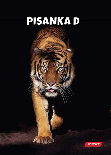 Pisanka D TARGET, B5 linije, 48 listova,