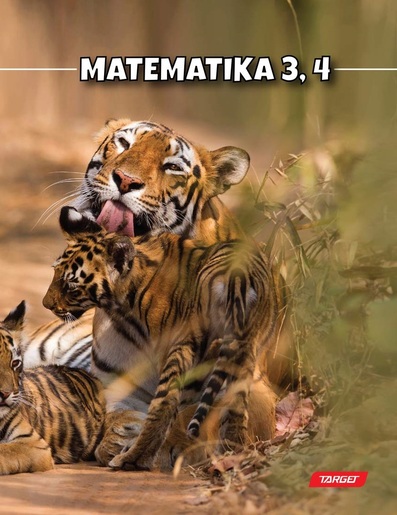 Pisanka matematika 3 i 4, TARGET, B5 kvadratići, 48 listova, meko izdanje