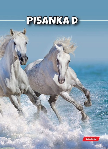 Pisanka D TARGET, B5 linije, 48 listova, meki uvez