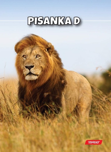 Pisanka D TARGET, B5 linije, 48 listova,