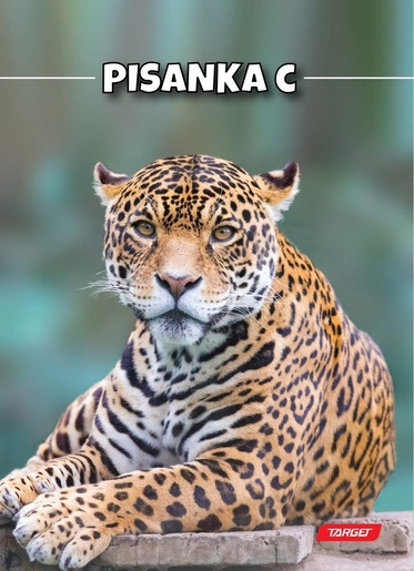 Pisanka C TARGET, B5 linije, 24 lista, m