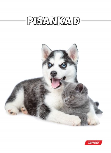 Pisanka D TARGET, B5 linije, 48 listova,