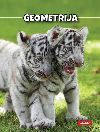 Bilježnica TARGET, B5 geometrija, 16 listova, meki uvez