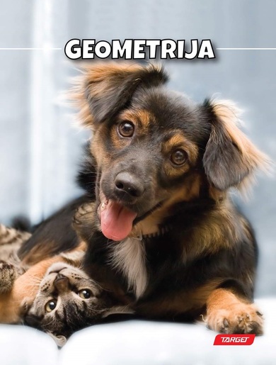 Bilježnica TARGET, B5 geometrija, 16 listova, meki uvez