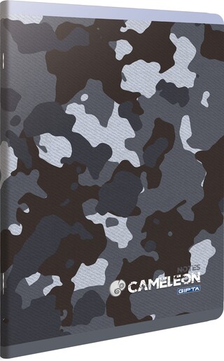 Bilježnica, Cameleon, A4 geometrijska, 40 listova, meki uvez