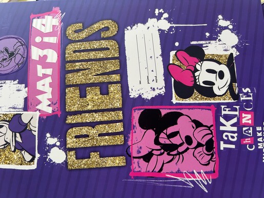 Pisanka Matematika 3 i 4 LIPA MILL, B5 kvadratići, 48 listova, meki uvez