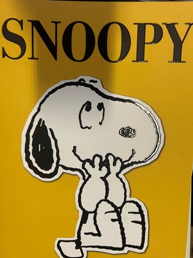 Bilježnica Snoopy, A4 linije, meki uvez