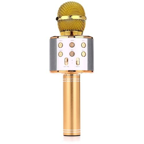 MANTA mikrofon bežični sa zvučnikom i karaoke funkcijom, MIC10-G