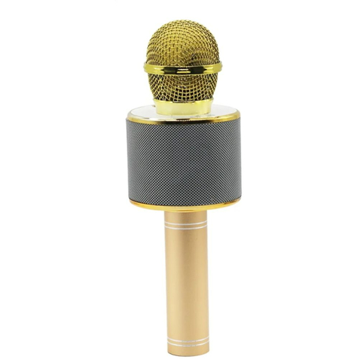 MANTA mikrofon bežični sa zvučnikom i karaoke funkcijom, MIC10-G