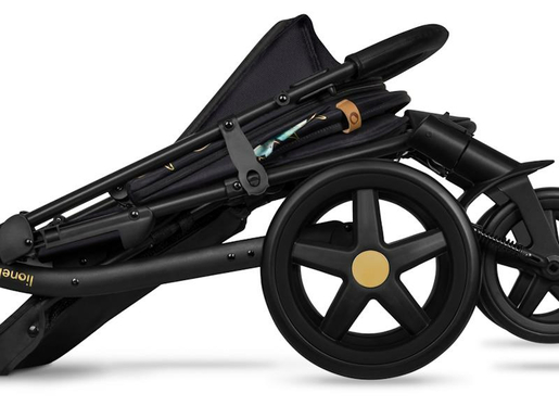 Lionelo dječja kolica ANNET PLUS, crna GOLDEN MOMENTS