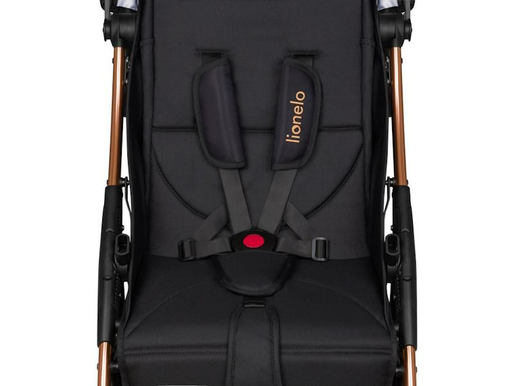 Lionelo dječja kolica JULIE ONE, aluminij