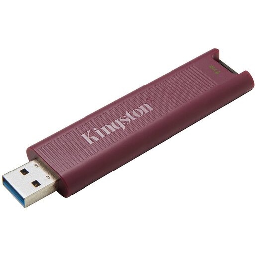 USB memorija Kingston DataTraveler Max 1TB