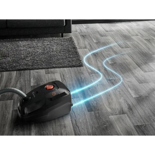 Rowenta usisivač RO6164EA