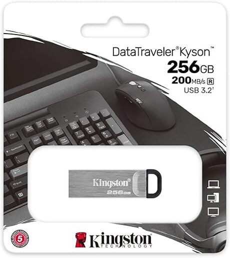 USB memorija Kingston 256GB DataTraveler Kyson (DTKN/256GB)