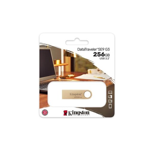 USB memorija Kingston 256GB DataTraveler SE9 G3 (DTSE9G3/256GB)